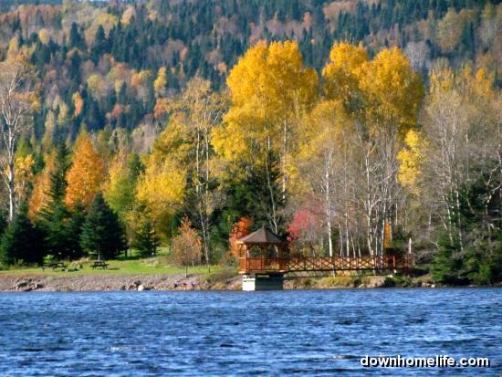 Main Gallery Display