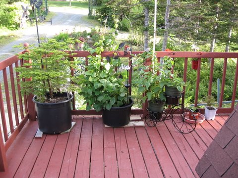 Main Gallery Display