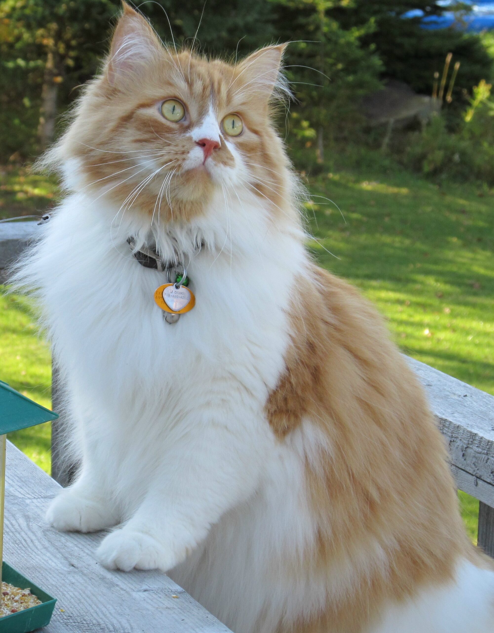 Main Gallery Display