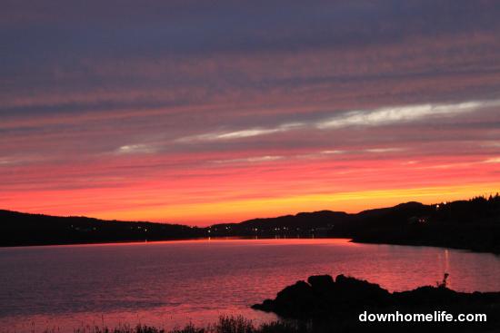 Main Gallery Display