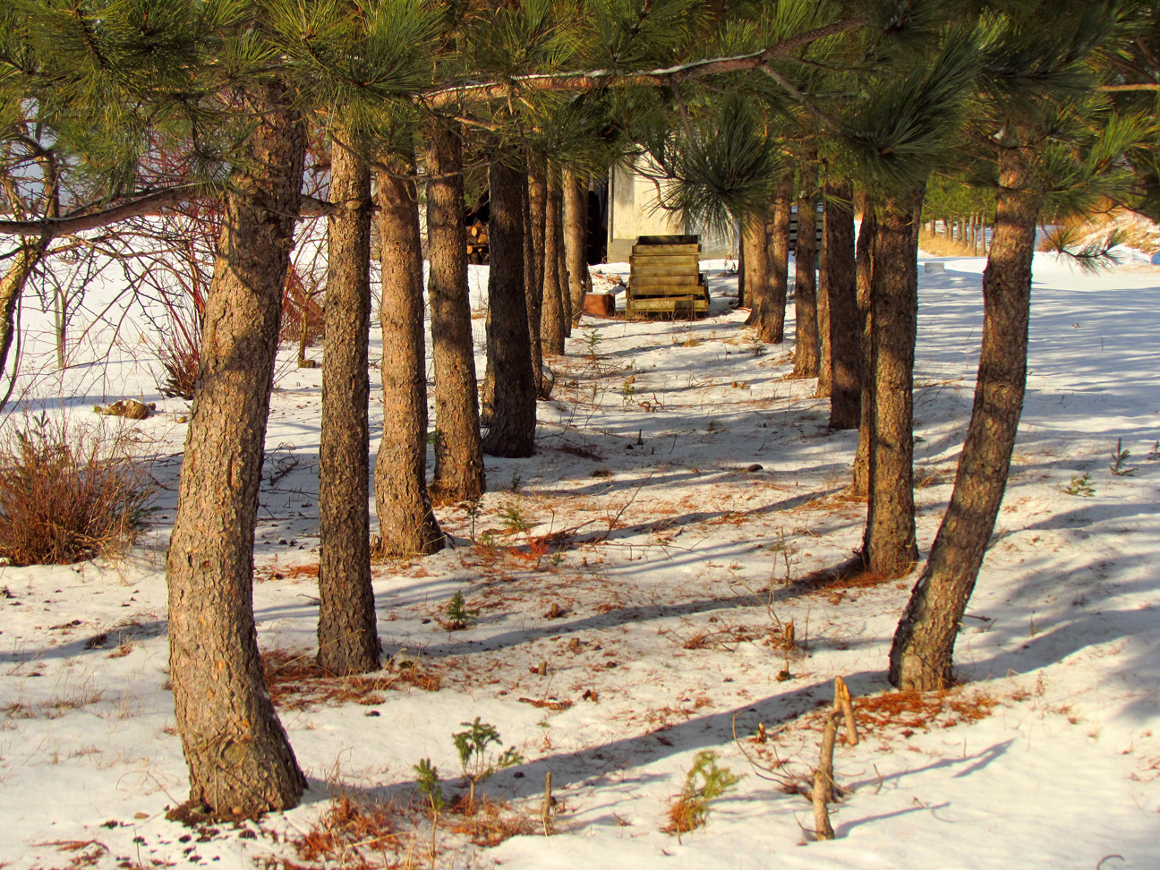 Main Gallery Display