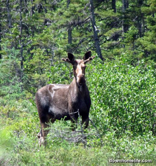 Main Gallery Display