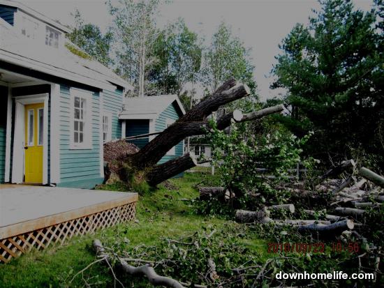 Main Gallery Display