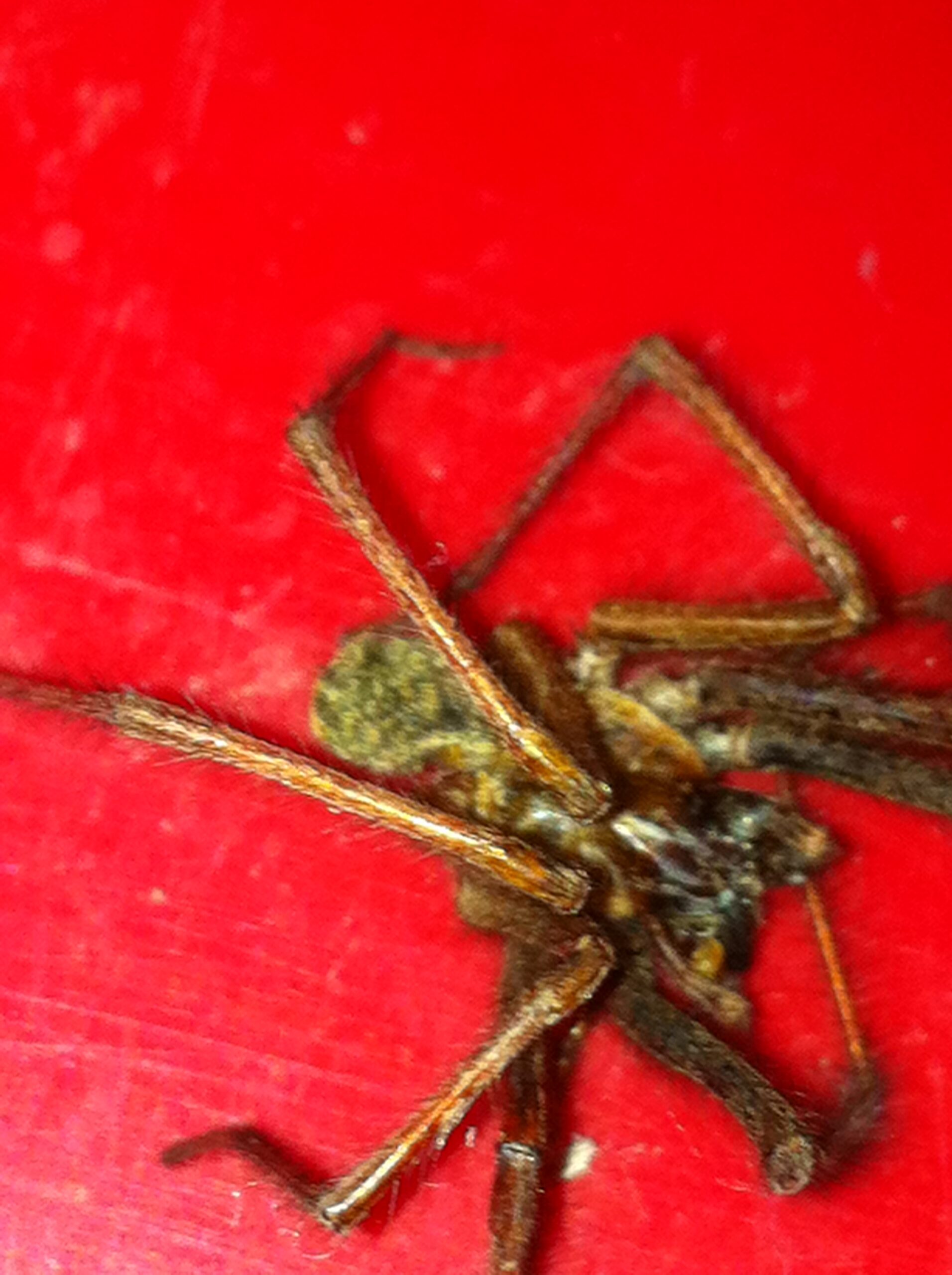 Main Gallery Display