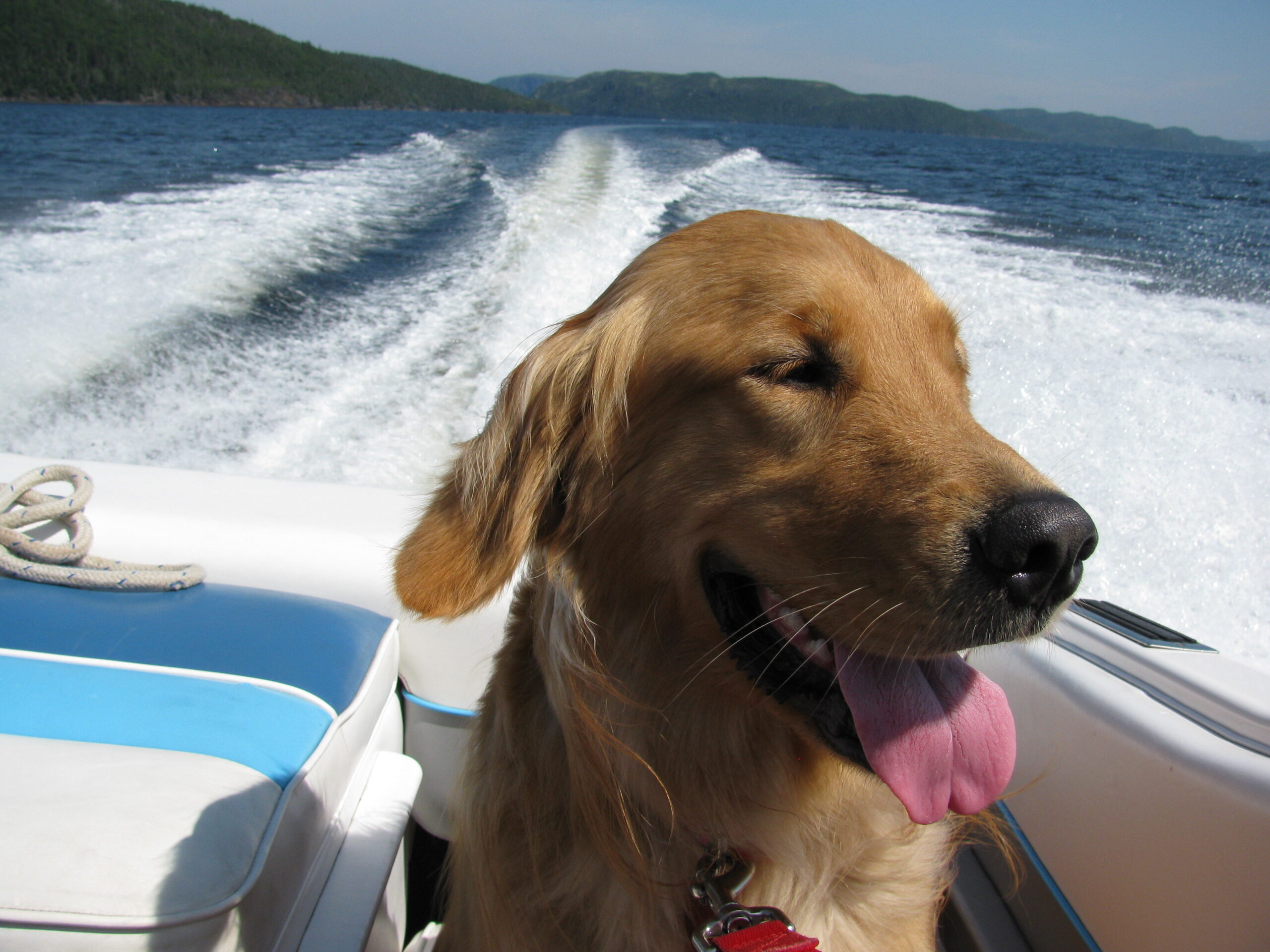 Main Gallery Display