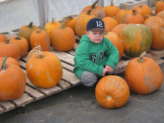 Main Gallery Display
