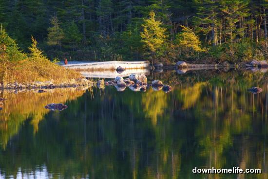 Main Gallery Display