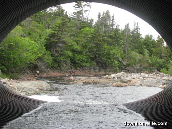 Main Gallery Display
