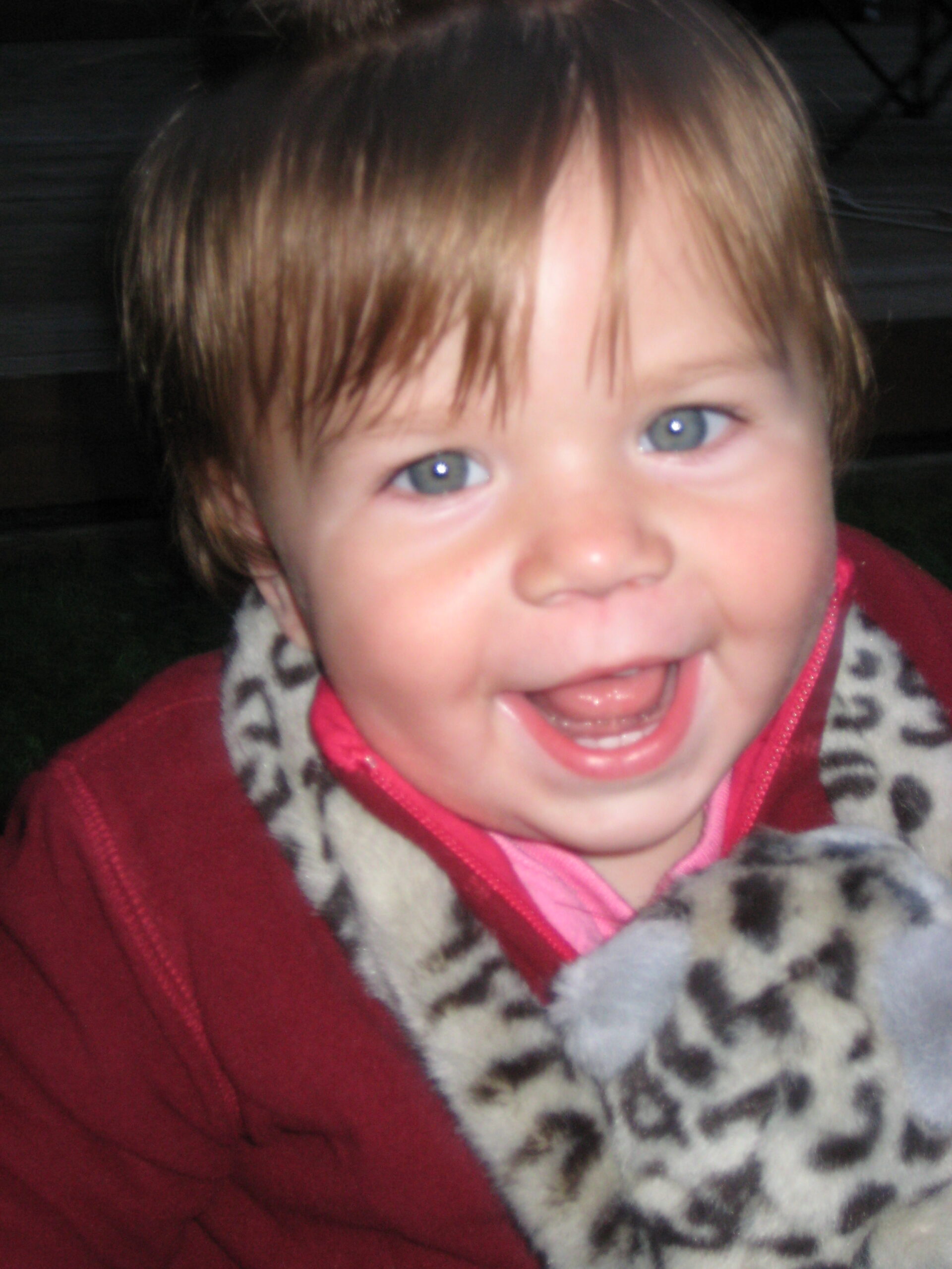 Main Gallery Display