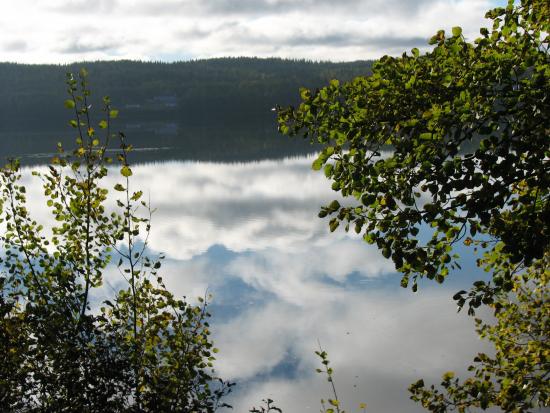 Main Gallery Display