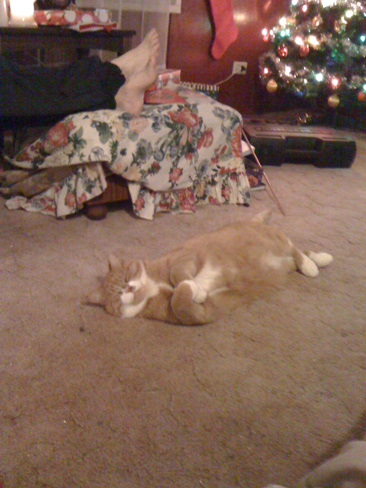 Main Gallery Display