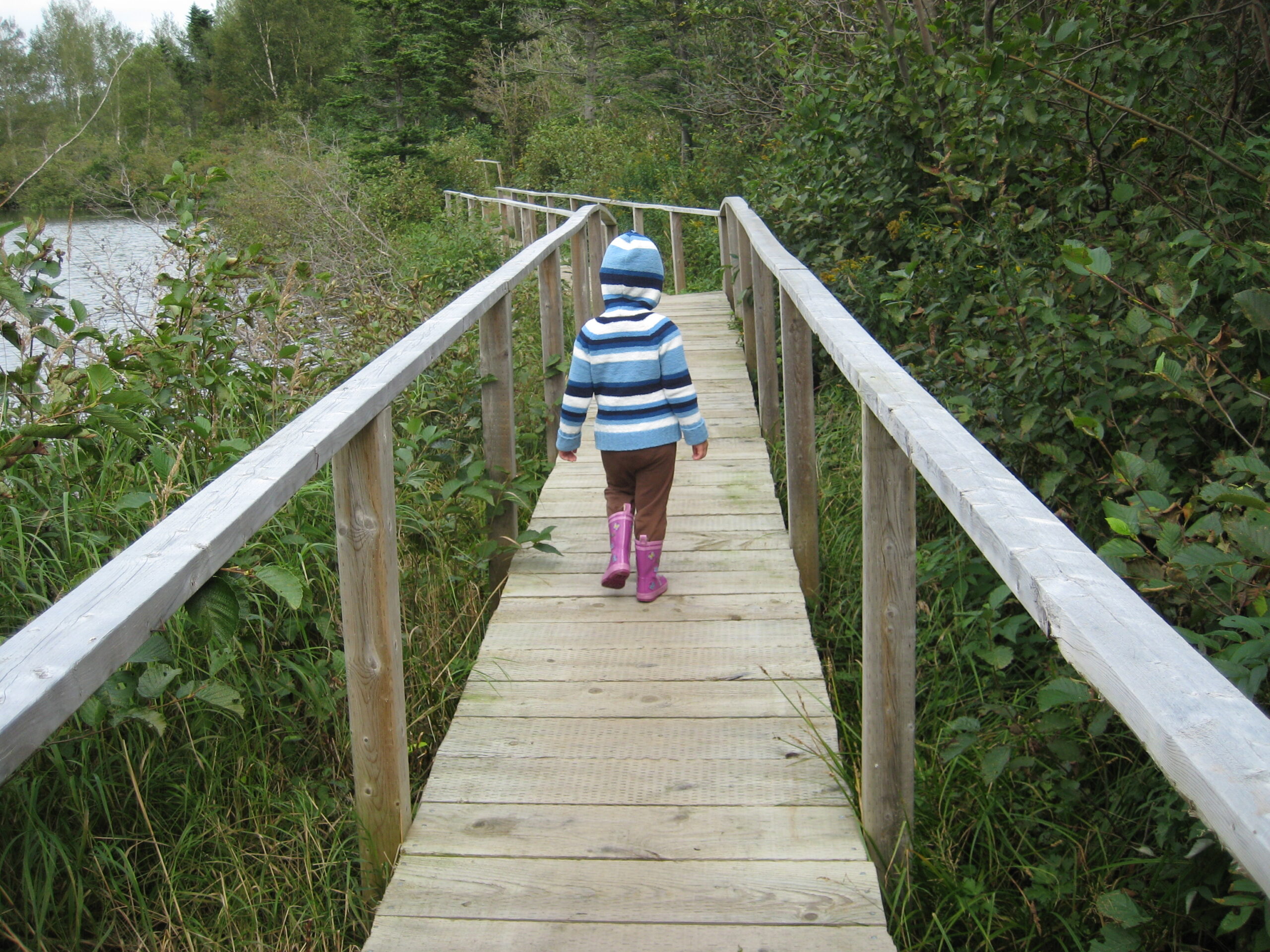 Main Gallery Display