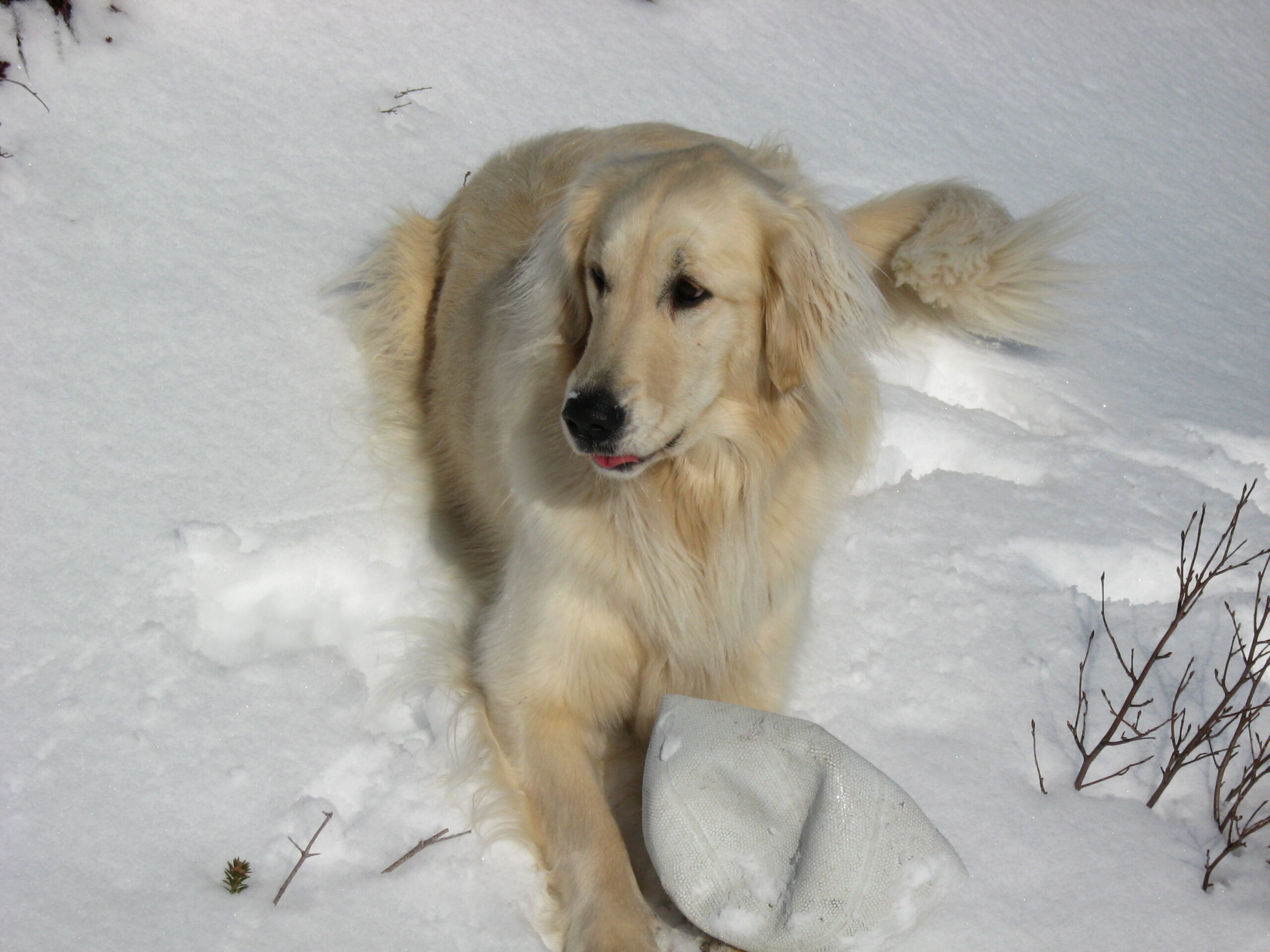 Main Gallery Display