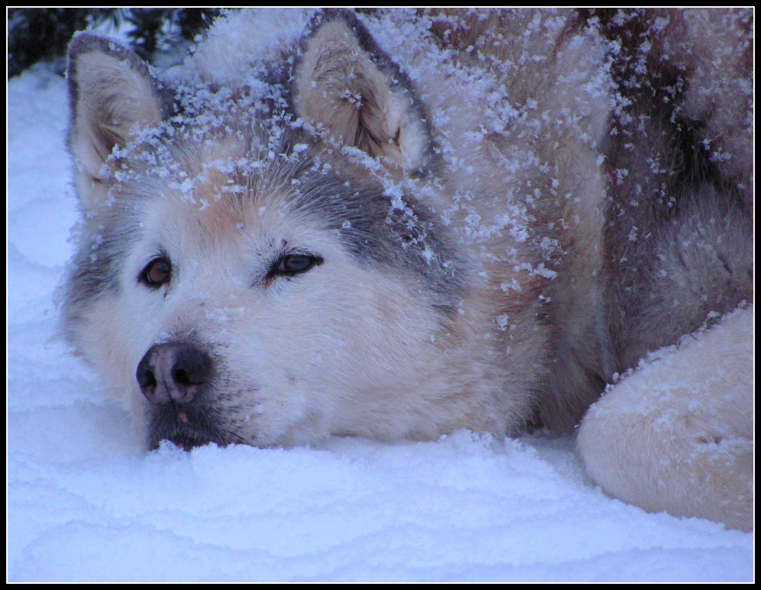 Main Gallery Display