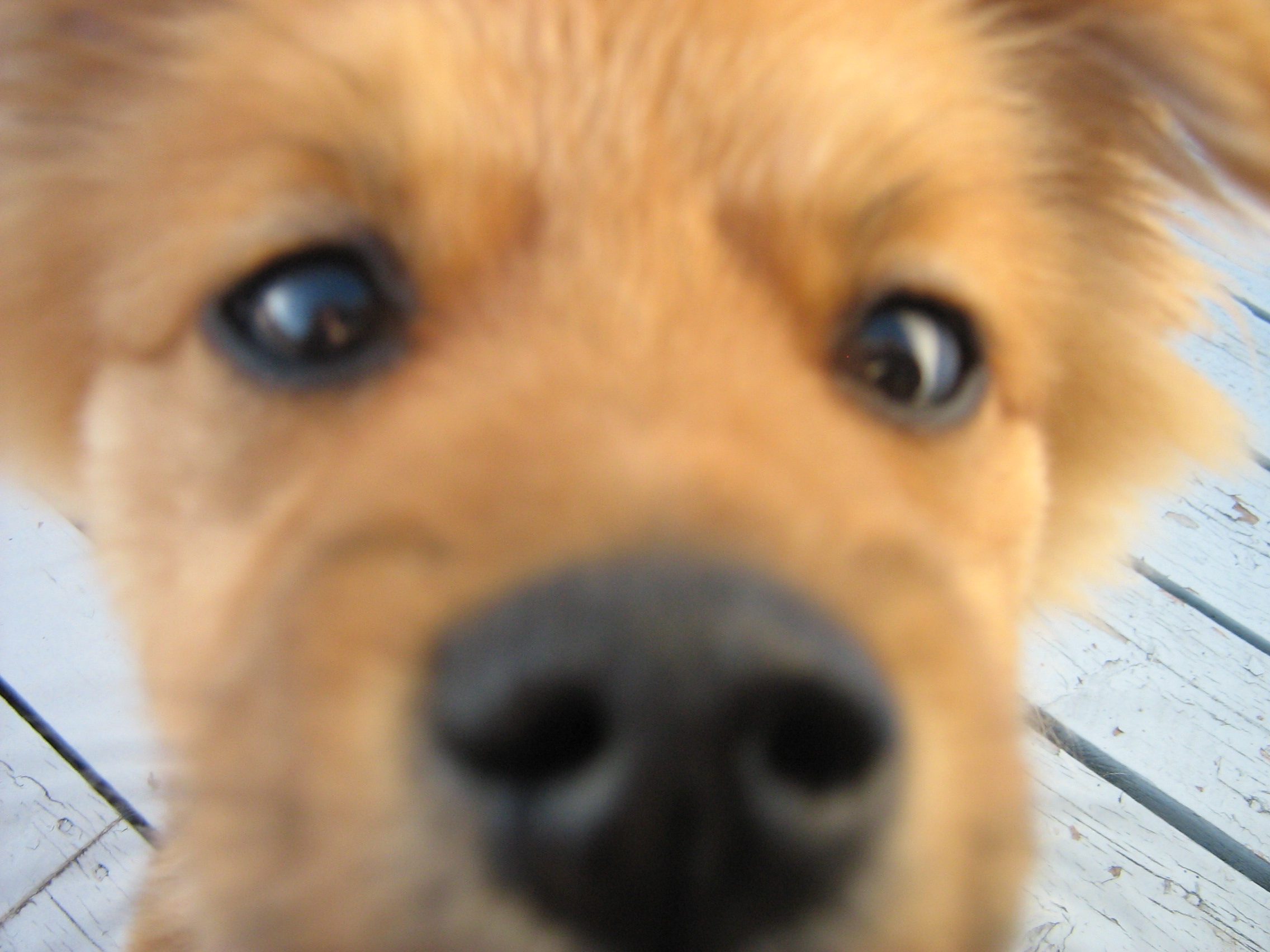 Main Gallery Display