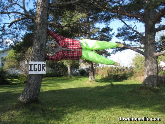 Main Gallery Display