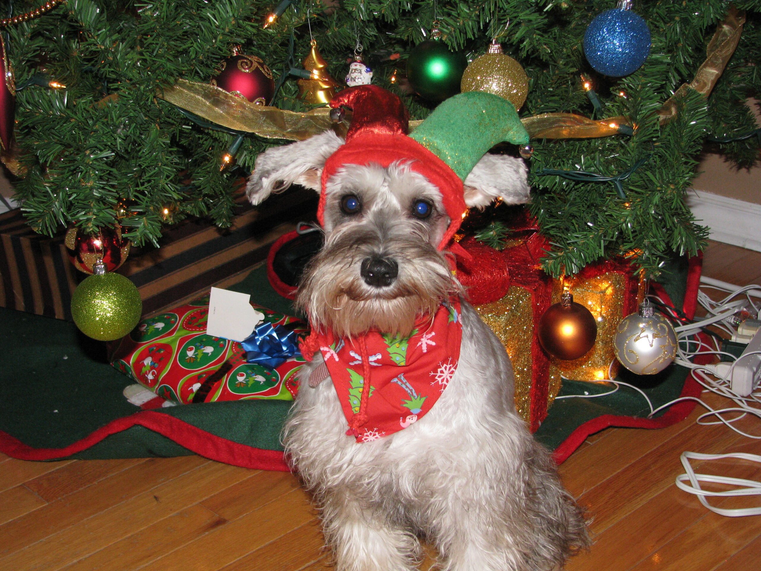 Main Gallery Display