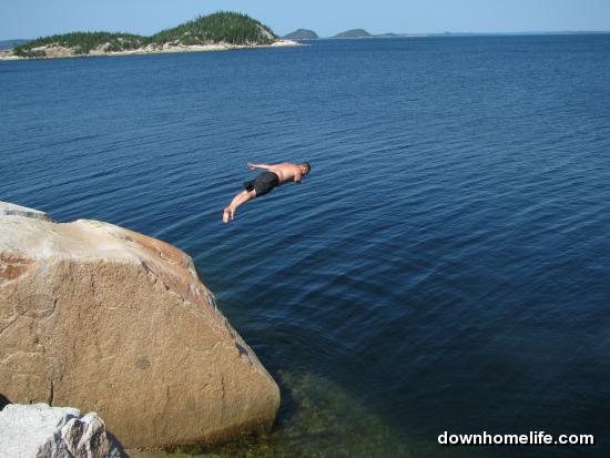 Main Gallery Display