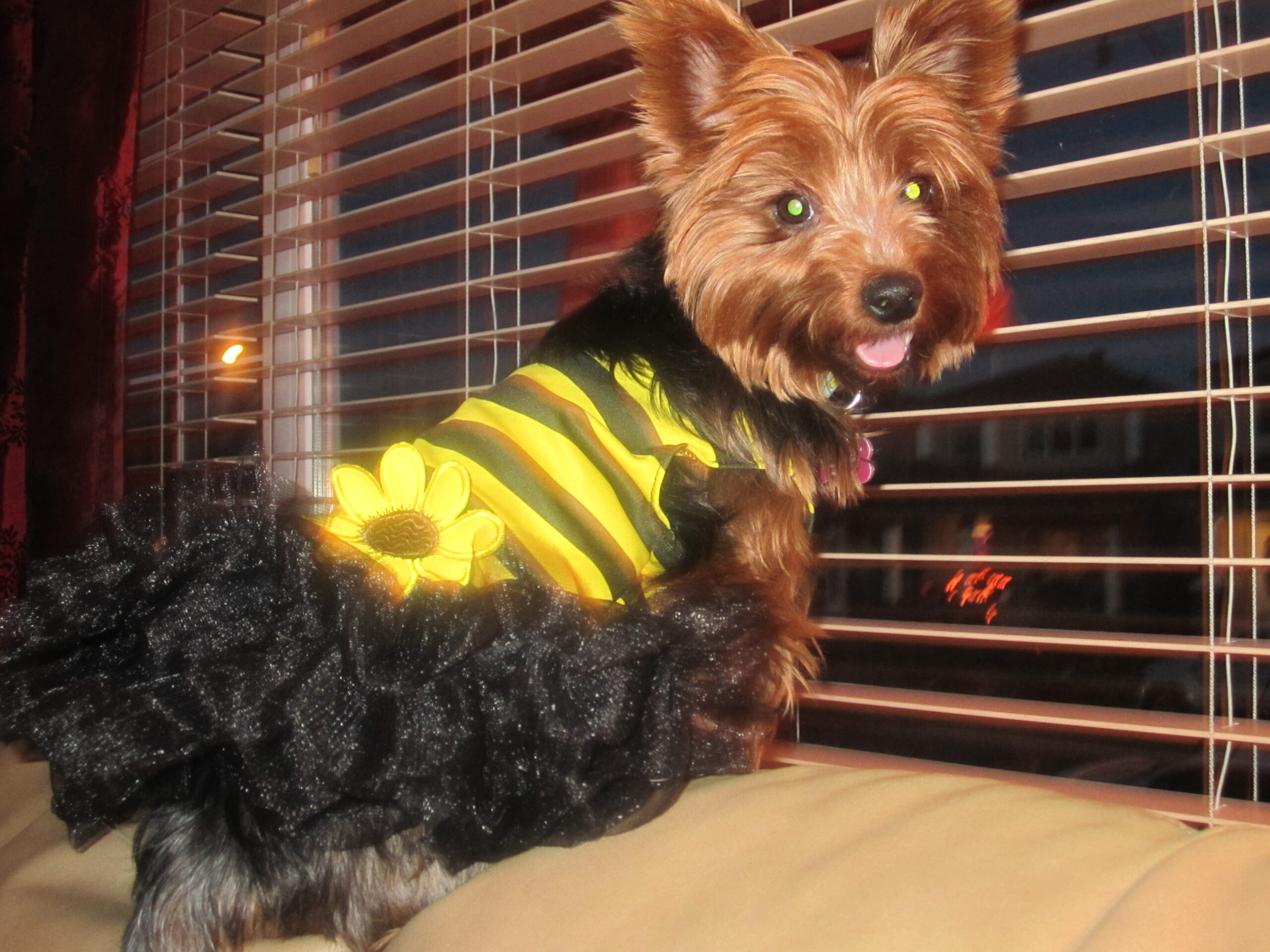 Main Gallery Display