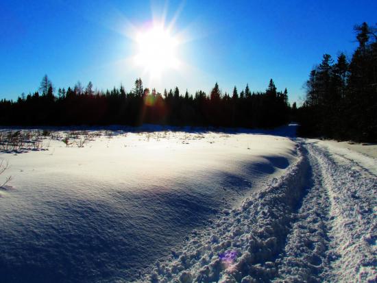 Main Gallery Display