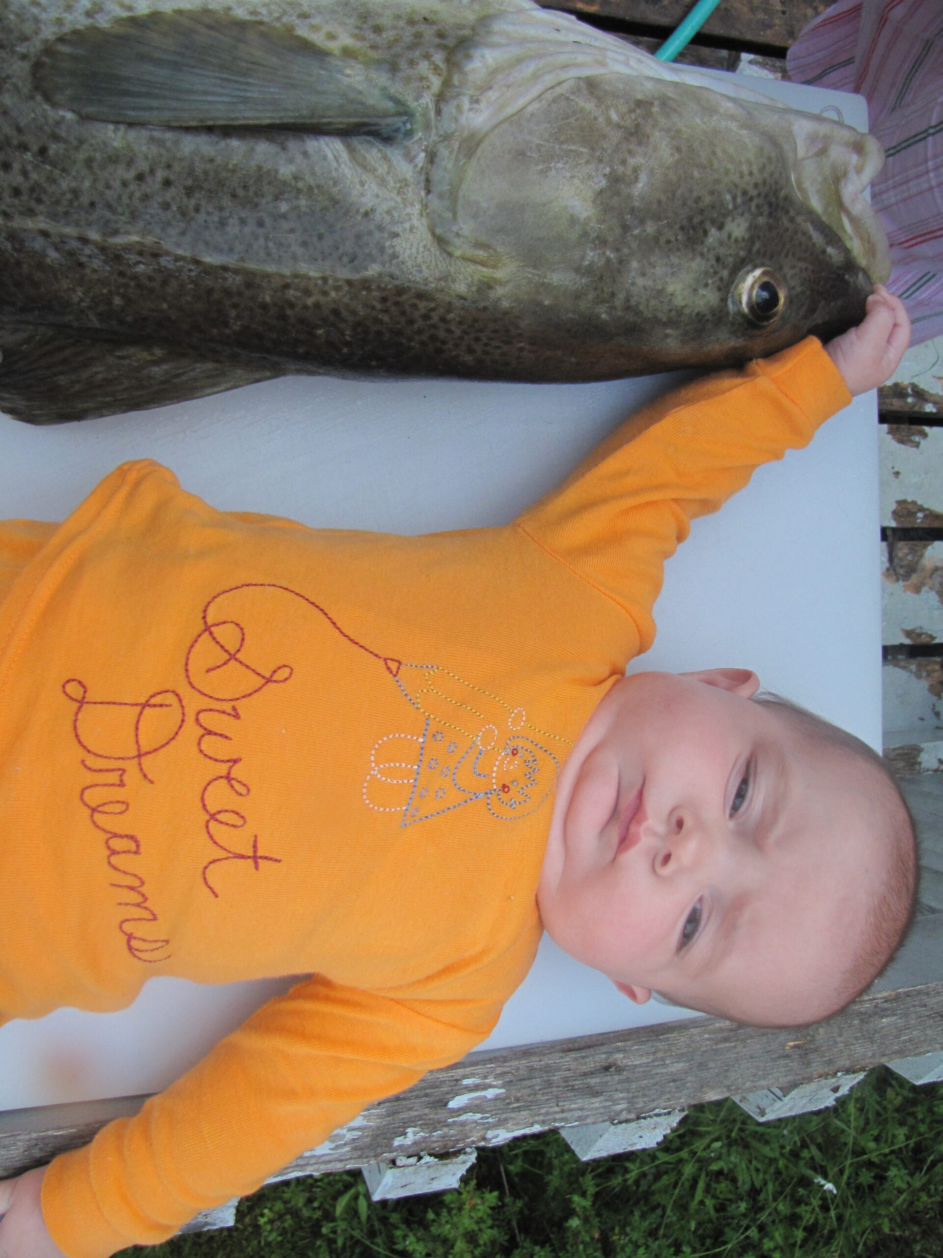 Main Gallery Display