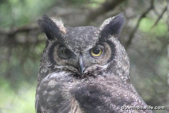 Main Gallery Display