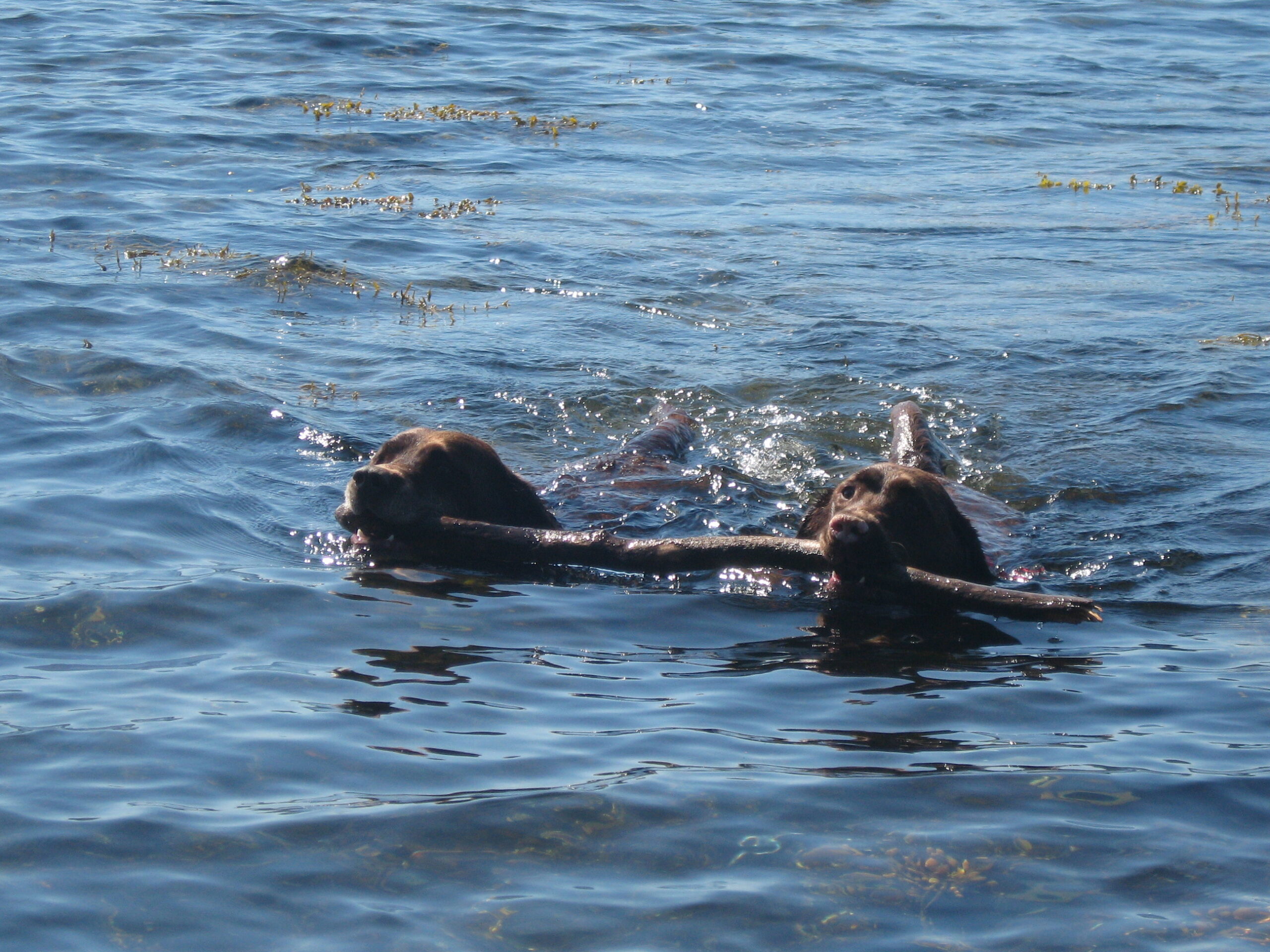 Main Gallery Display