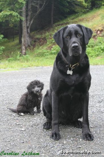 Main Gallery Display