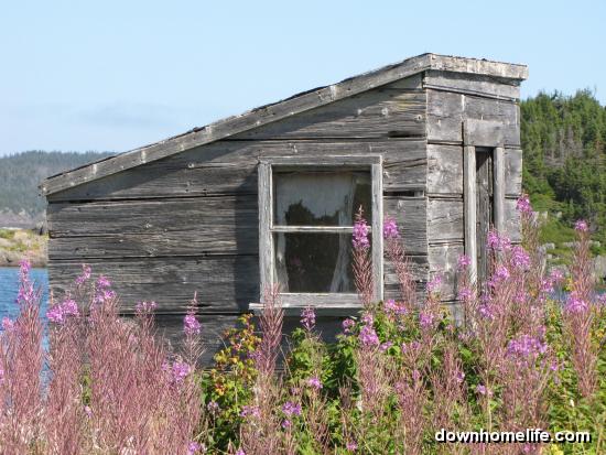 Main Gallery Display