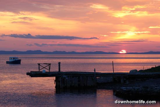 Main Gallery Display