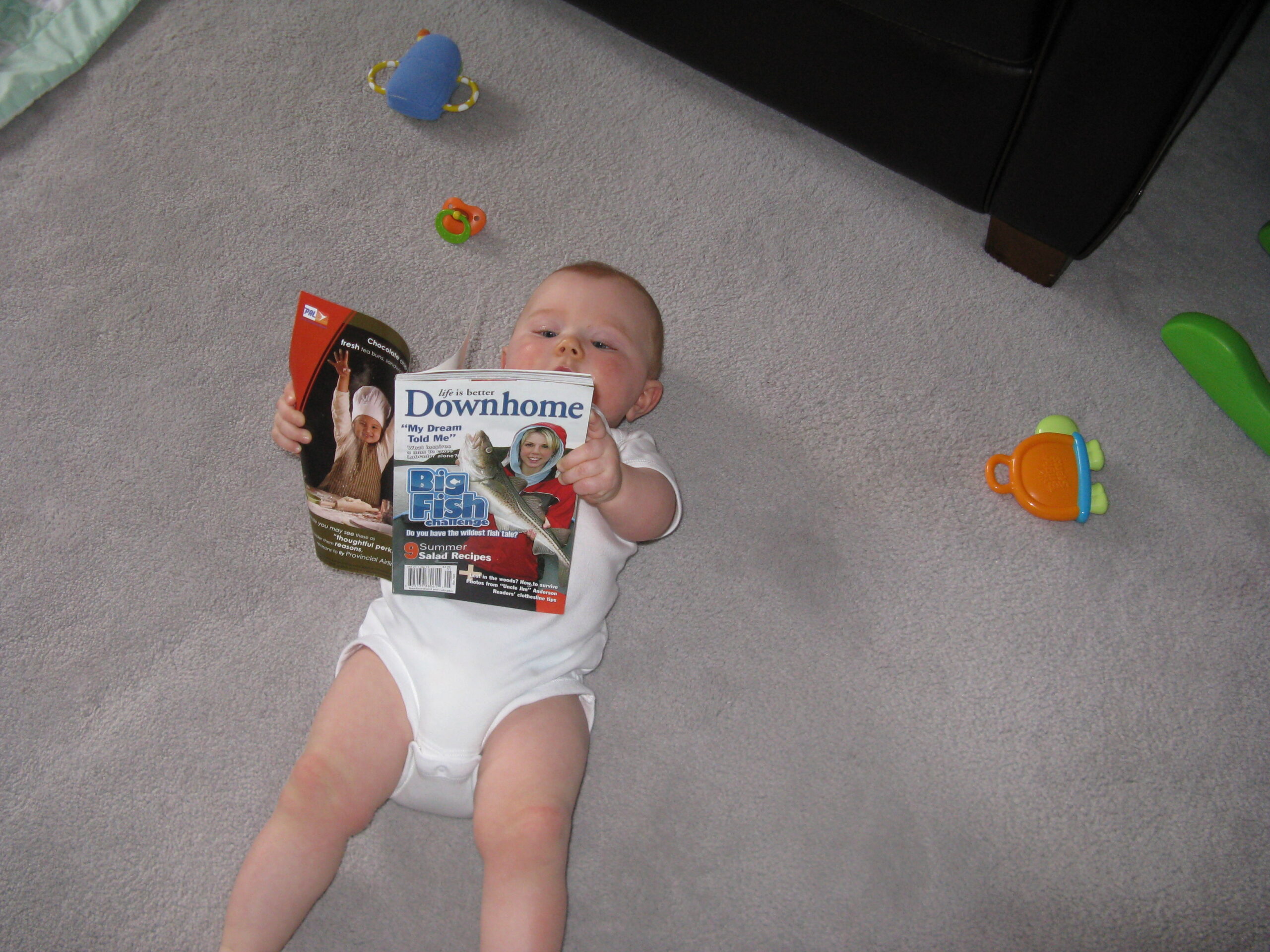 Main Gallery Display