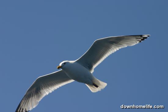 Main Gallery Display