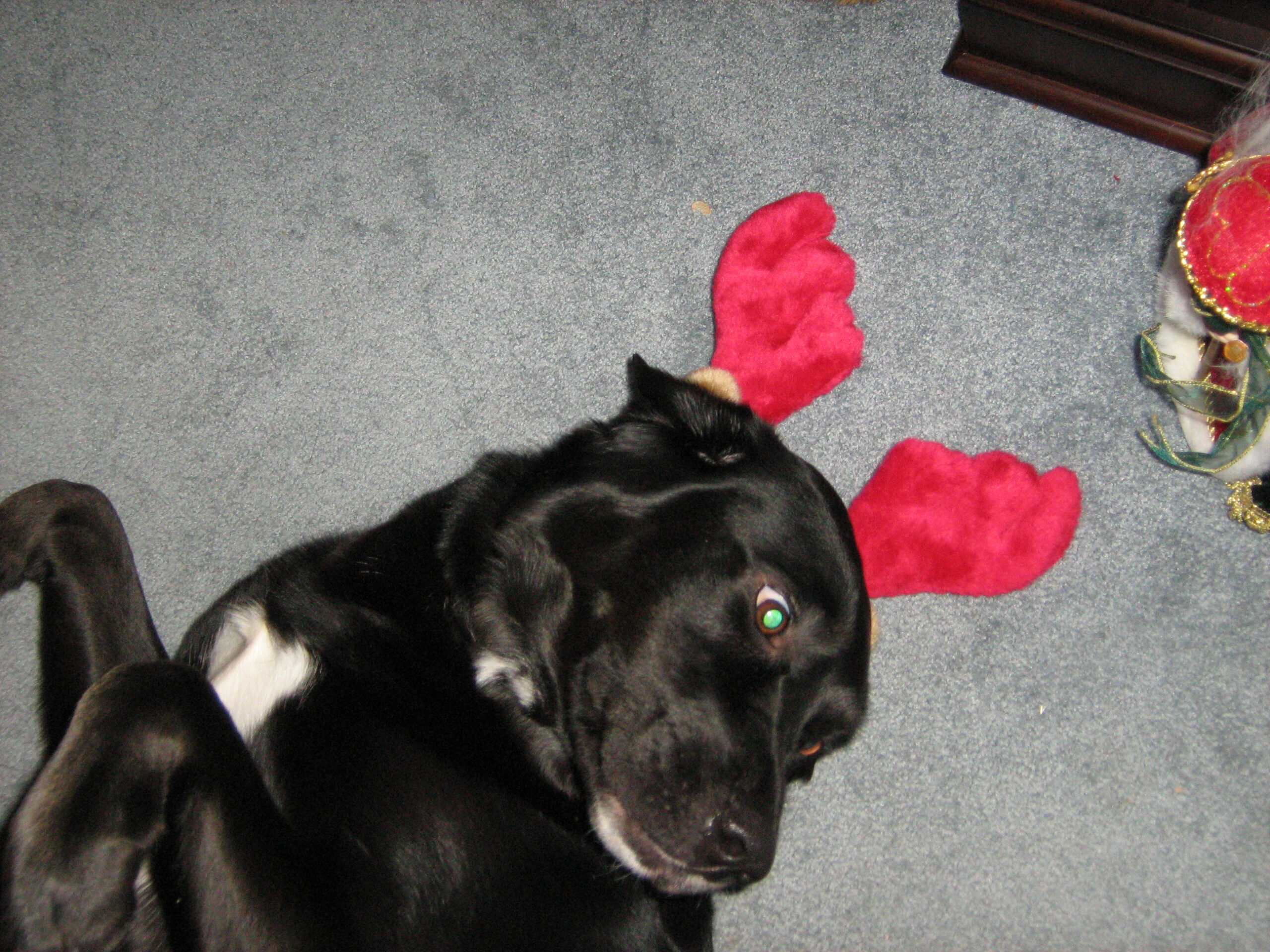 Main Gallery Display