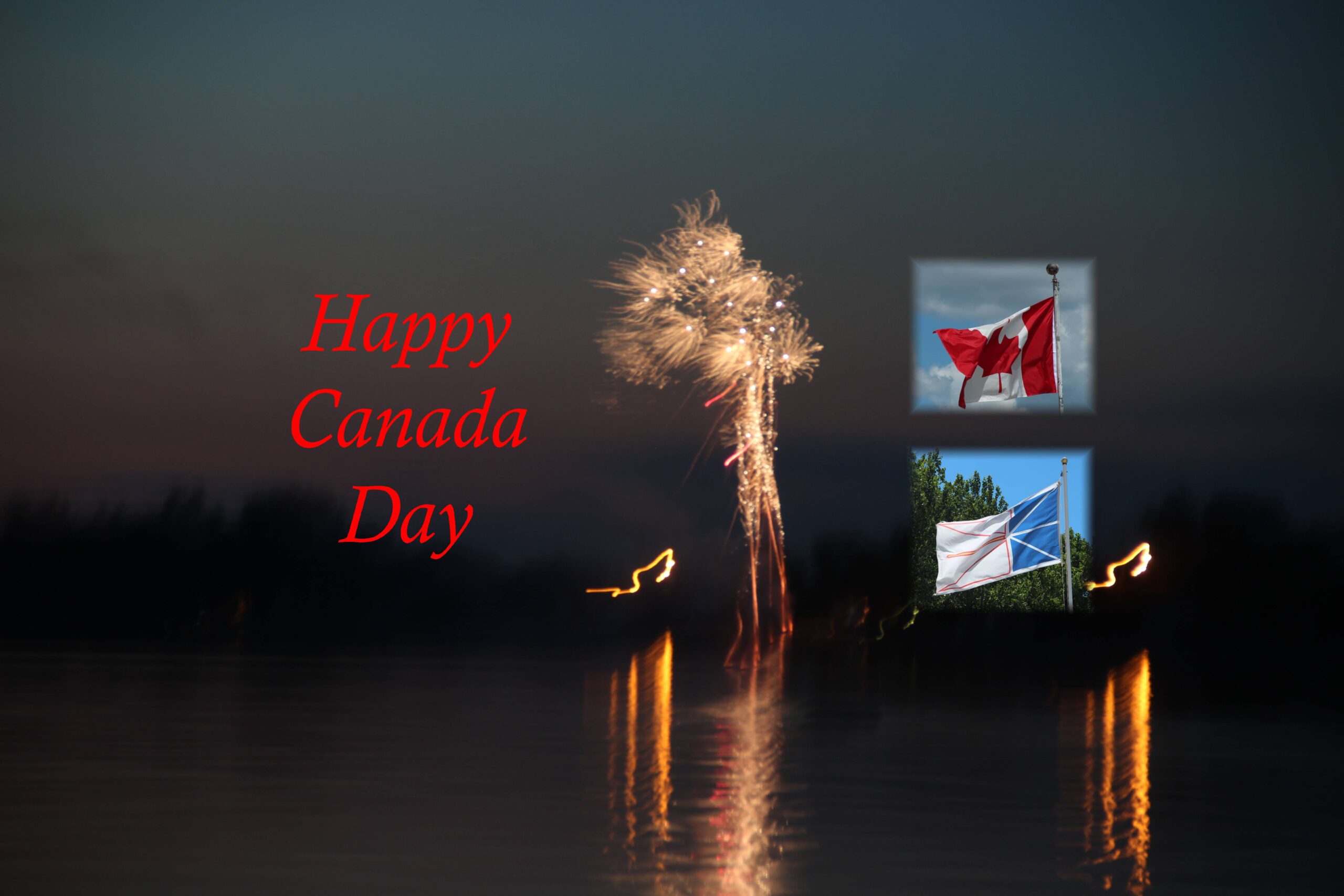 Main Gallery Display