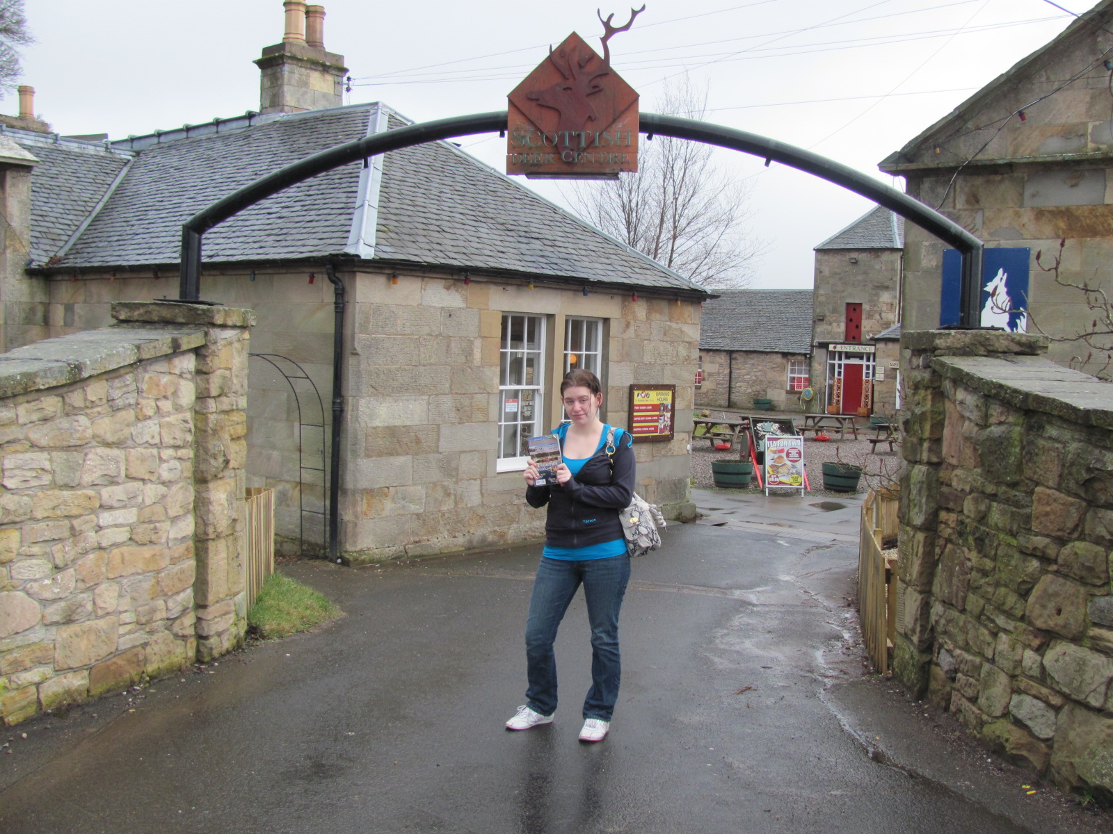 Main Gallery Display