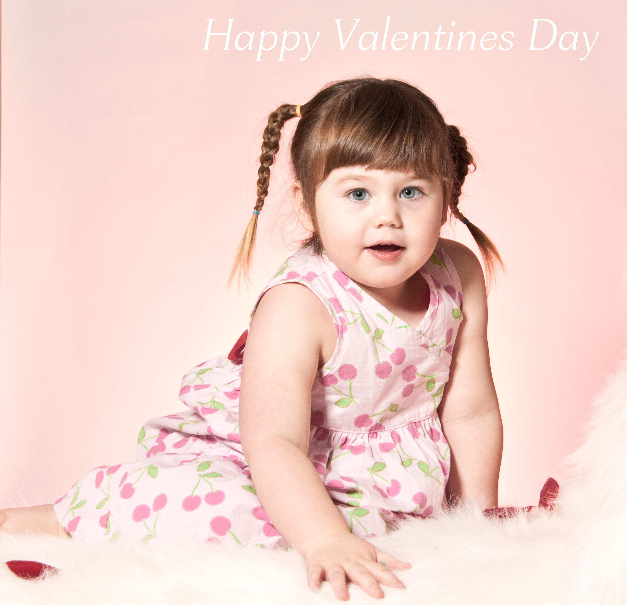 Main Gallery Display