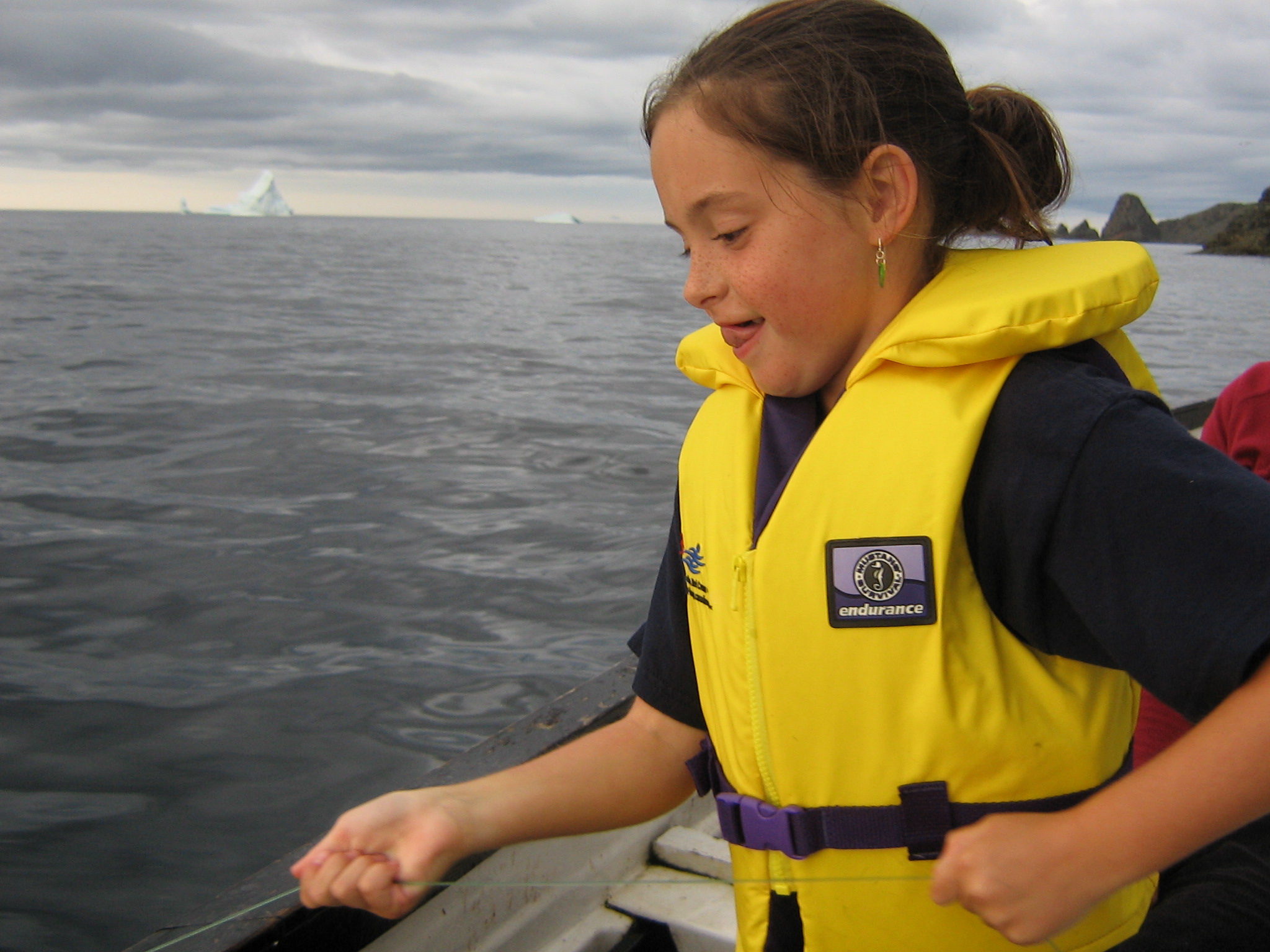 Main Gallery Display