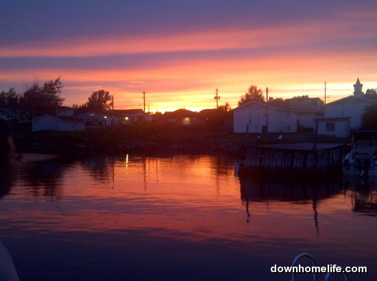 Main Gallery Display
