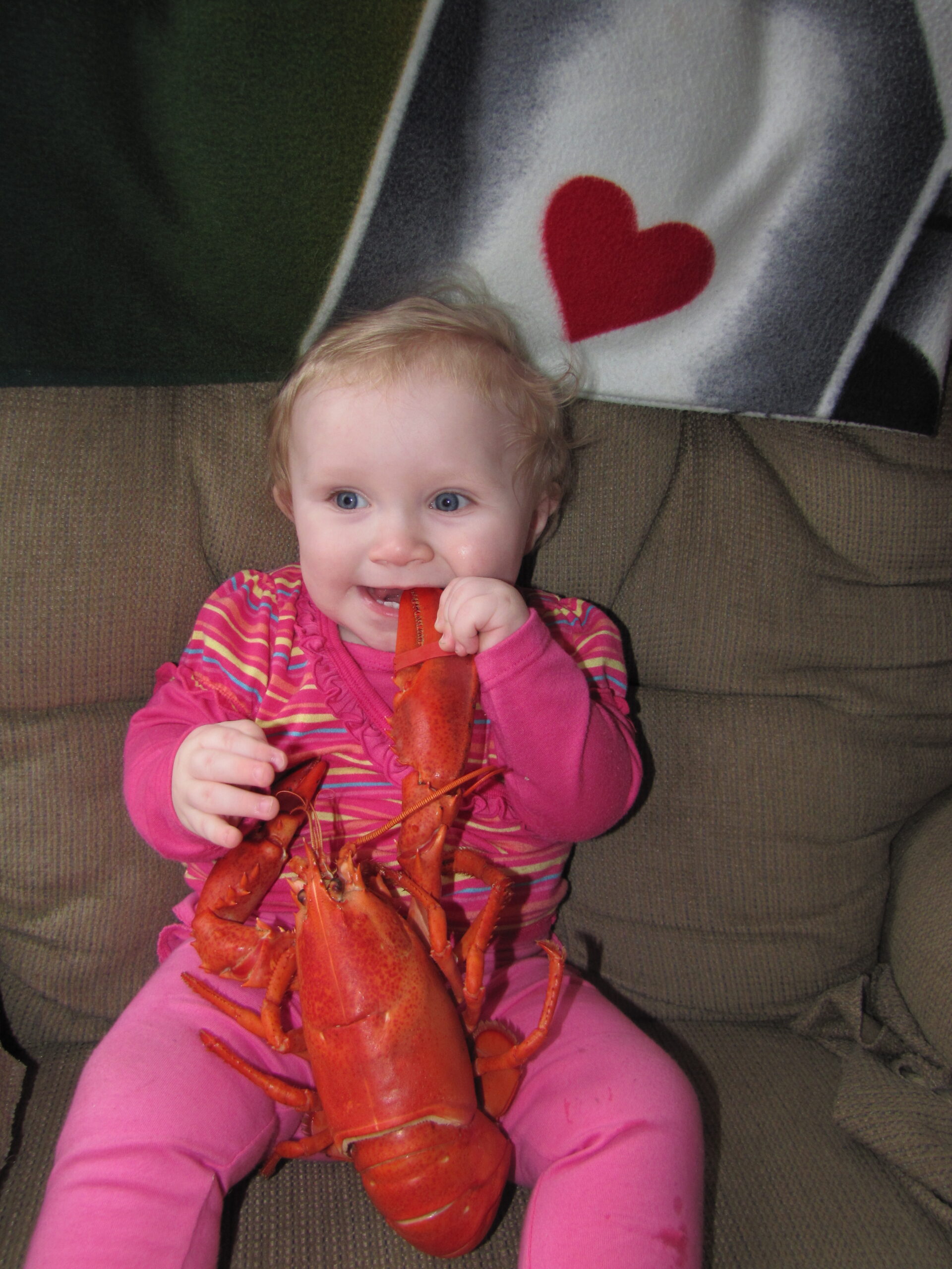 Main Gallery Display