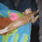 Thumbnail Preview