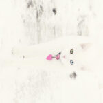 Thumbnail Preview