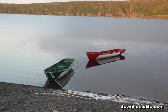 Main Gallery Display