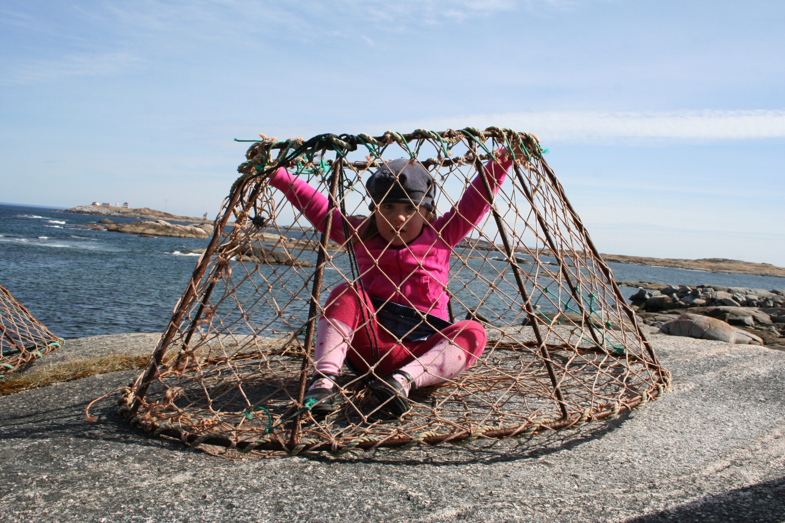 Main Gallery Display