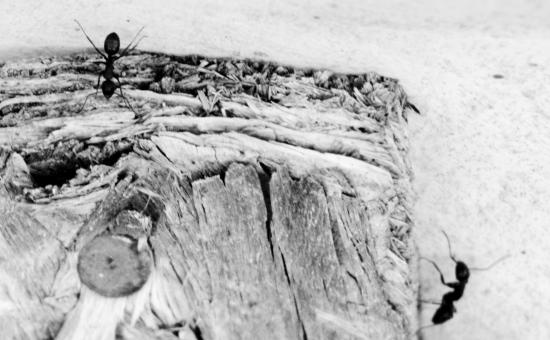 Main Gallery Display