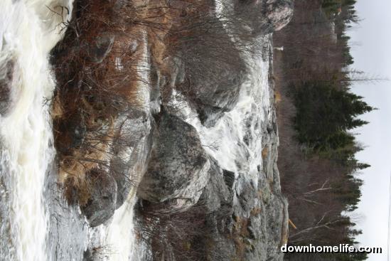 Main Gallery Display