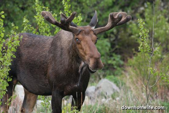 Main Gallery Display