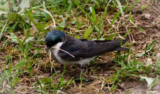 Main Gallery Display