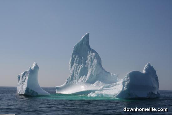 Main Gallery Display