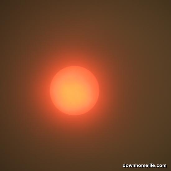 Main Gallery Display