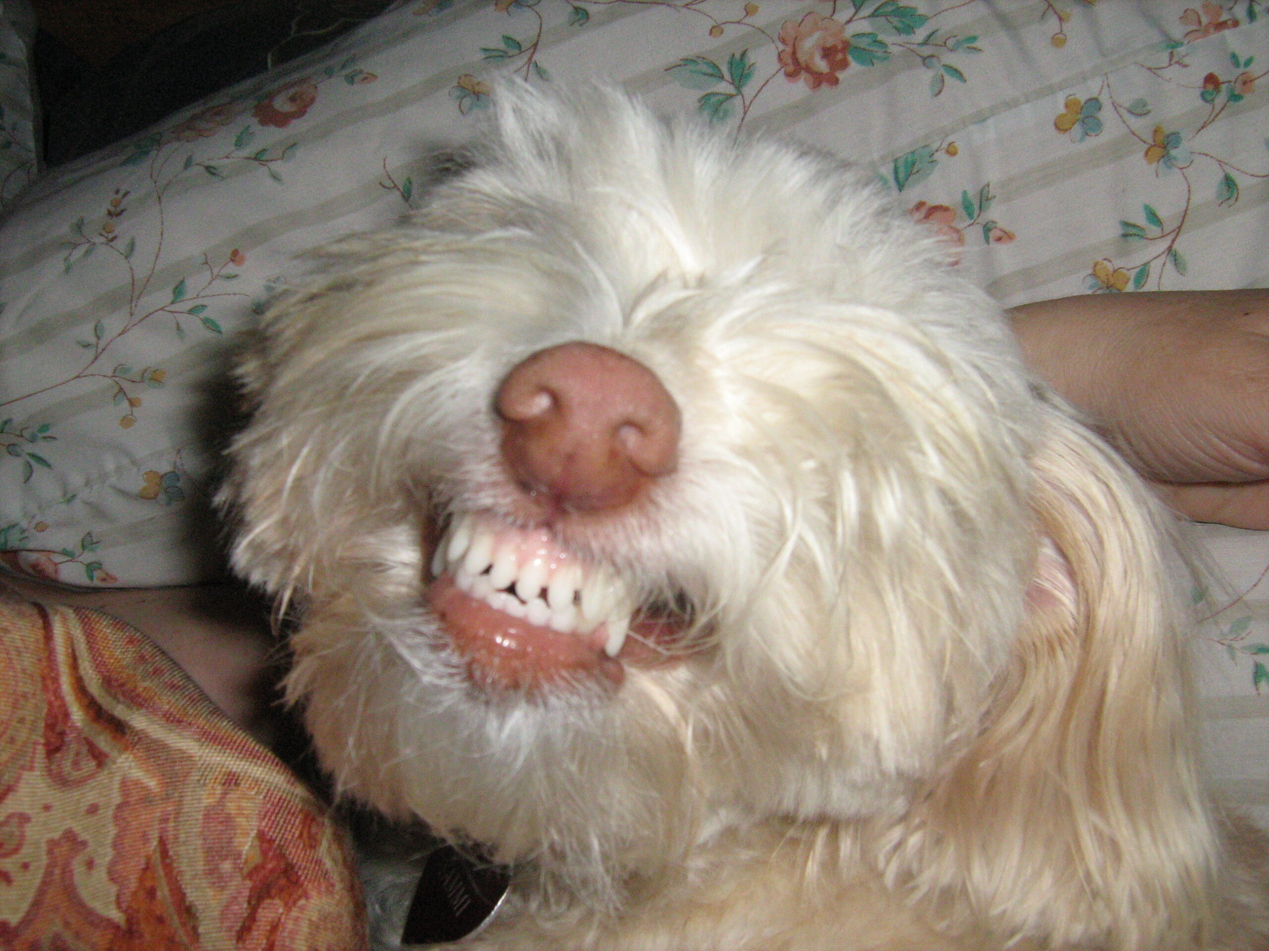 Main Gallery Display